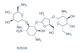 Neomycin Sulphate